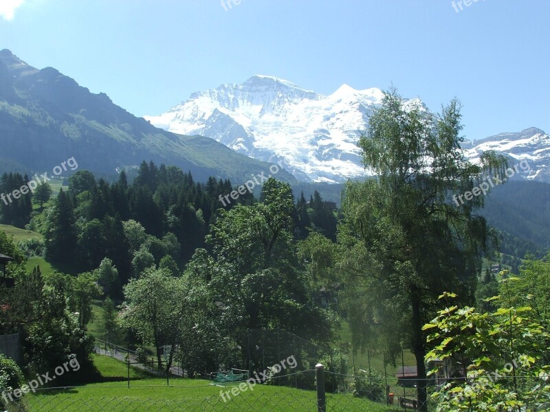 Jungfrau Mountain Summer Wengen Switzerland