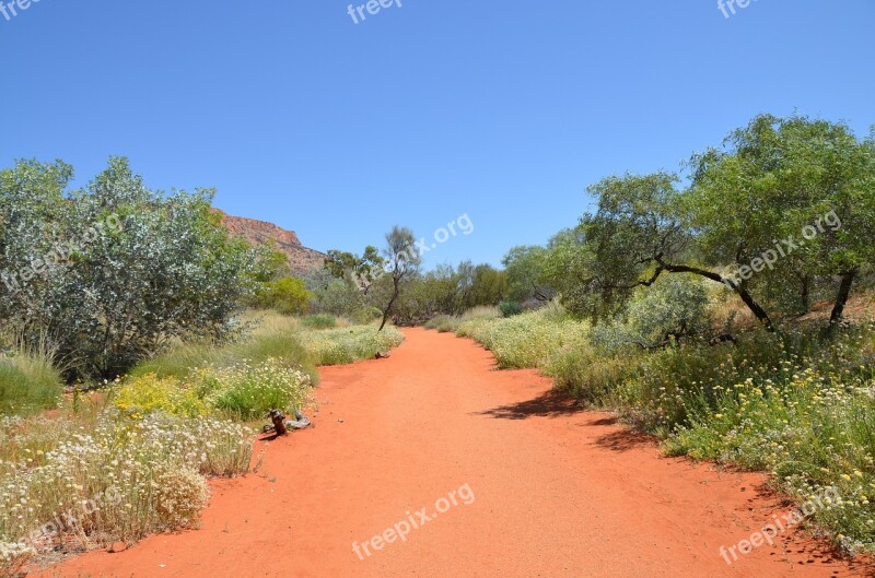 Desert Outback Path Red Sand Sand