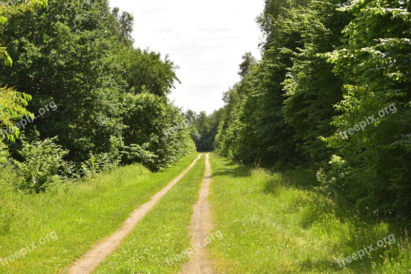 Away Lane Nature Landscape Trail