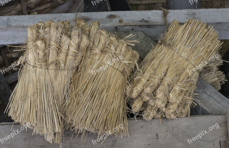 Reed Roof Reed Roofing Netherlands Holland