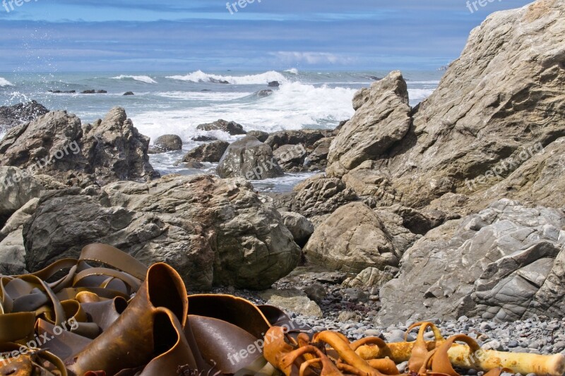 Kaikoura Kaikoura Coast South Island New Zealand Sea