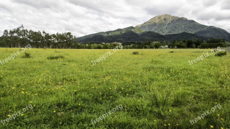 Methven Farm Grass South Island New Zealand