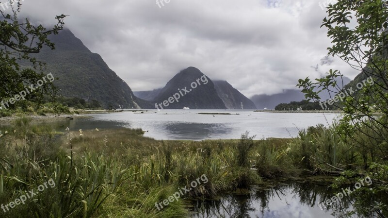 Milford Sound South Island New Zealand Water Nature