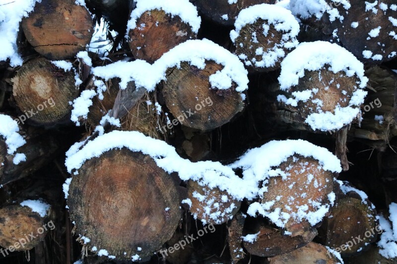 Wood Holzstapel Winter Firewood Stacked Up