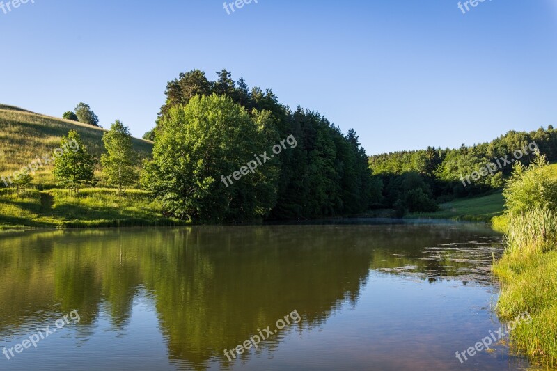 Pond Field Water Forest Nature