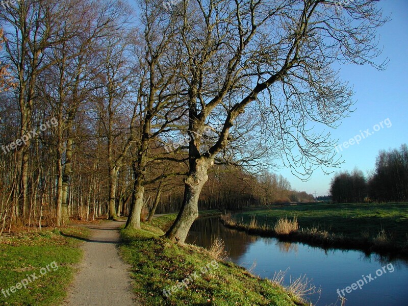 Forest Bach Water Nature Landscape