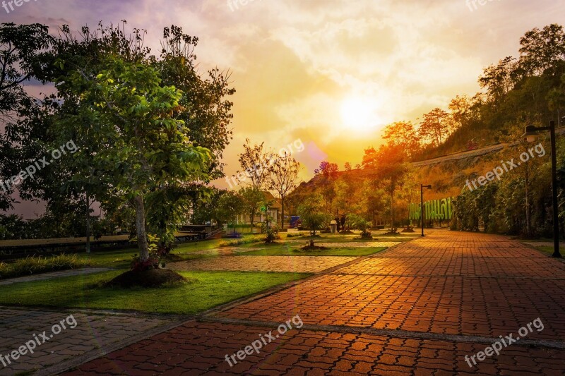 Landscape Sunset Trees Nature Sun