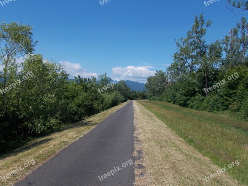 Path Forest Nature Country Slovakia