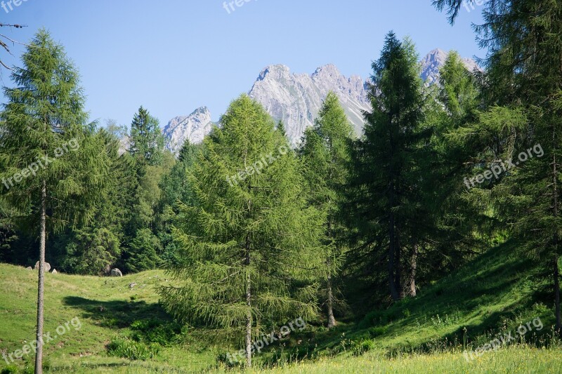 Landscape Nature Summer Meadow Alpine Meadow