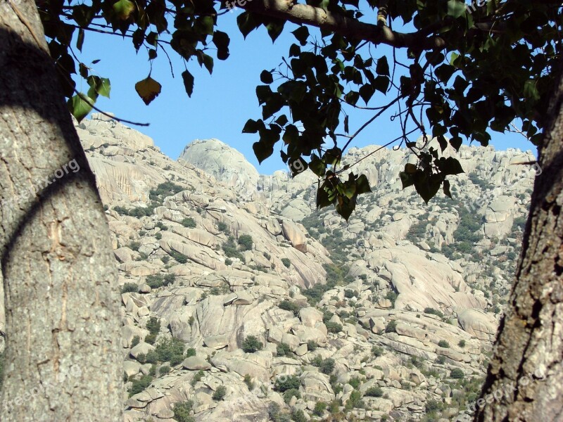 Stone Stone Mountain Pedriza Mountain Tree