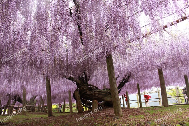 Japan Fukuoka Kytakyushyu Free Photos