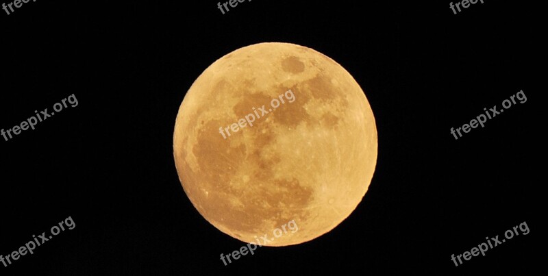 Luna Full Moon Night Sky Free Photos