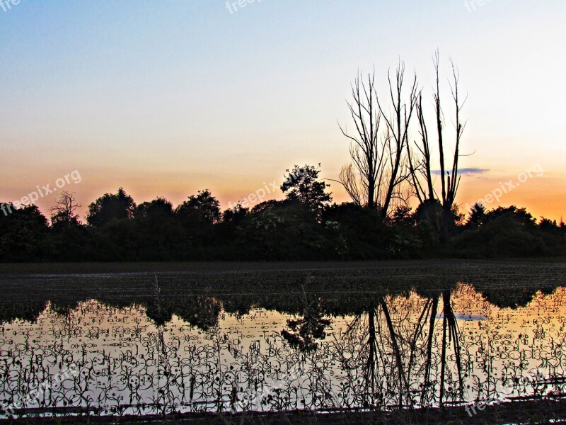 Water West Tree The Silence Sunset