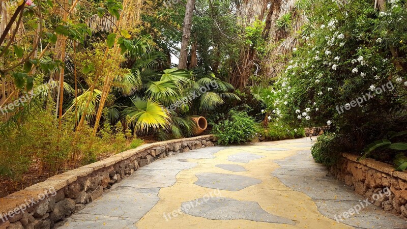 Abandoned Way Palm Trees Urn Away Road