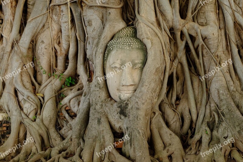 Temple Thailand Thai Wat Religion