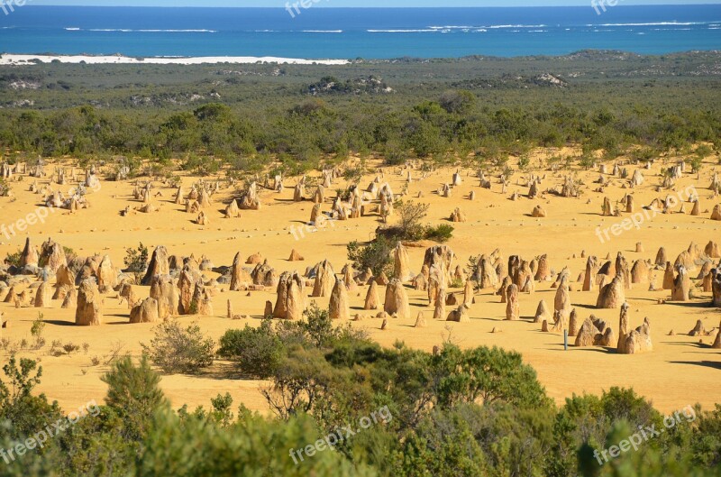 Pinnacles Limestone Nambung National Park Landscape Nature