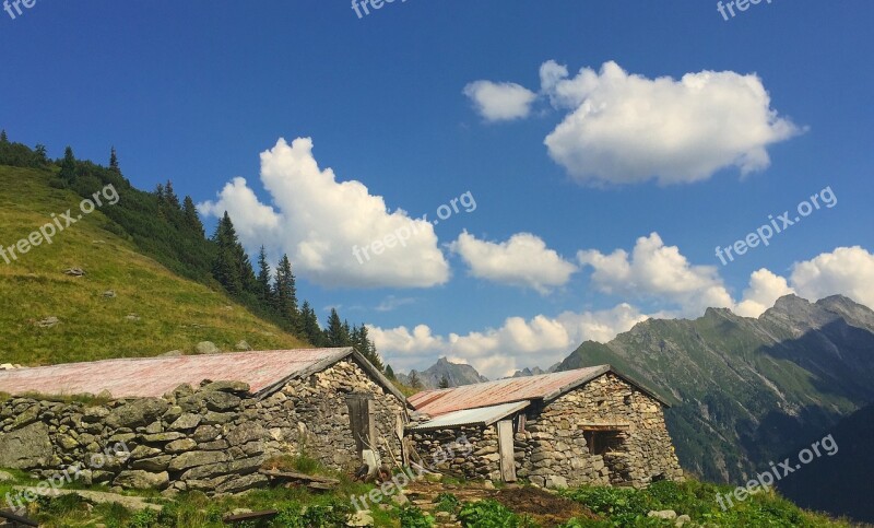 Stall Alm Nature Mountain Hut Alpine