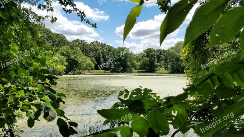 Swamp Floating Bridge Out Of The Woods Wildlife Free Photos