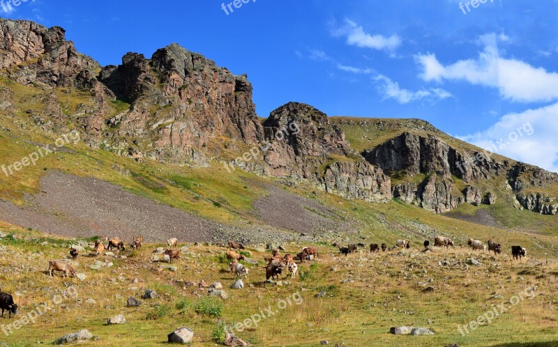 Eastern Black Sea Landscape Nature Green Kaçkars