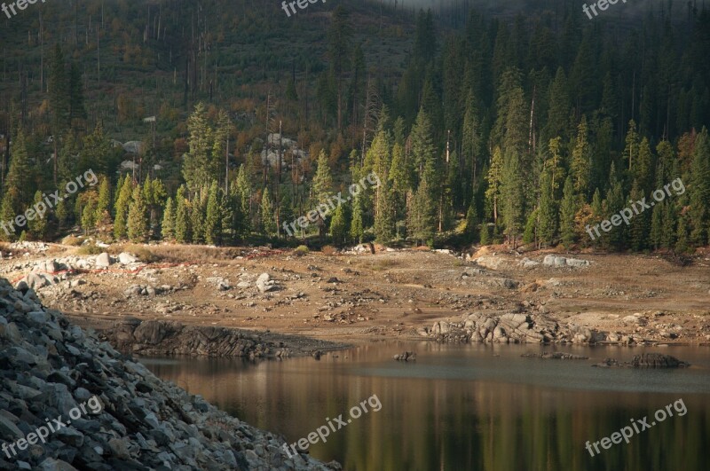 Lake Tree Line Landscape Forest Pine