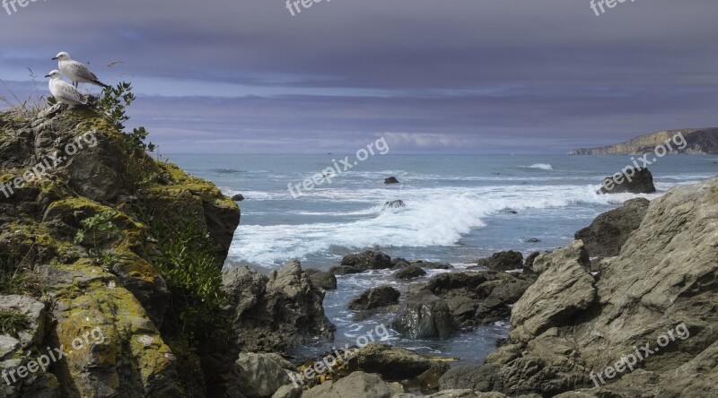 Kaikoura Pacific Ocean Sea New Zealand South Island