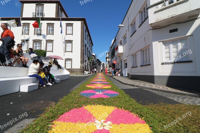 Festival Azores Flowers Ponta Delgada Parade