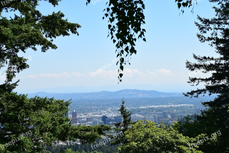 Urban Scenery Portland Trees Landscape Downtown