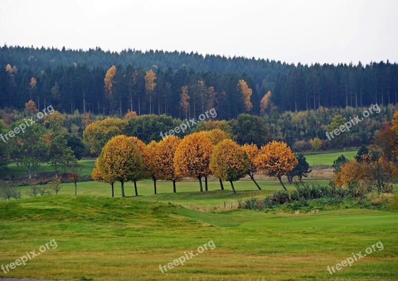 Autumn Autumn Colors Tree Sweden Free Photos