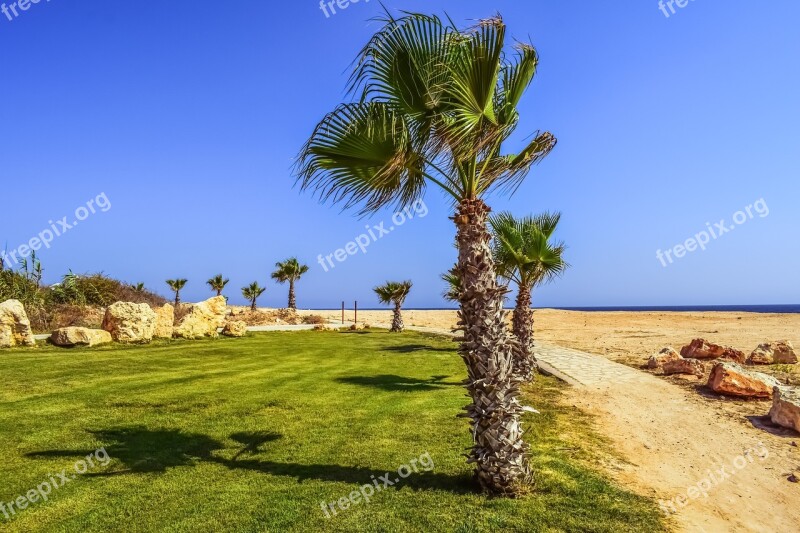 Landscaping Palm Trees Rocks Garden Landscape