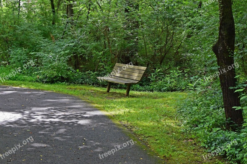 Bench On Green-way Path Bench Wooden Path Restful