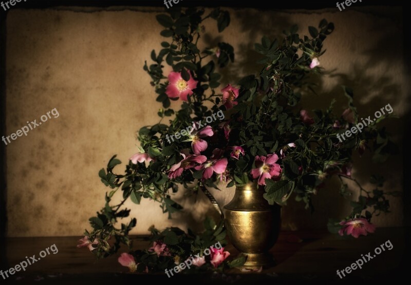 The Background Spring Wild Rose Composition Vase