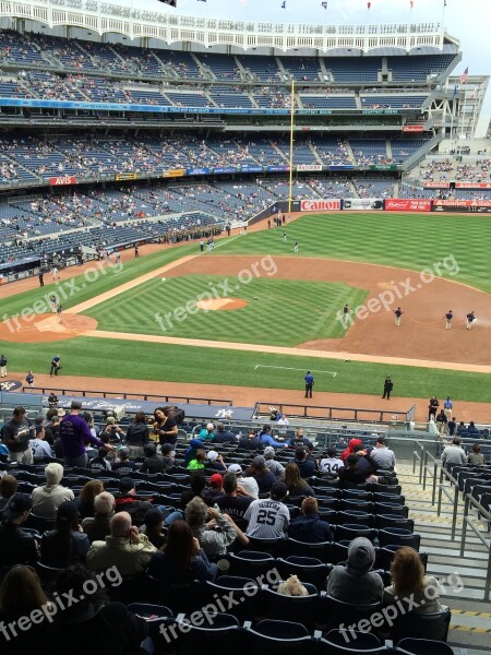 Baseball Stadium Field Team Grass