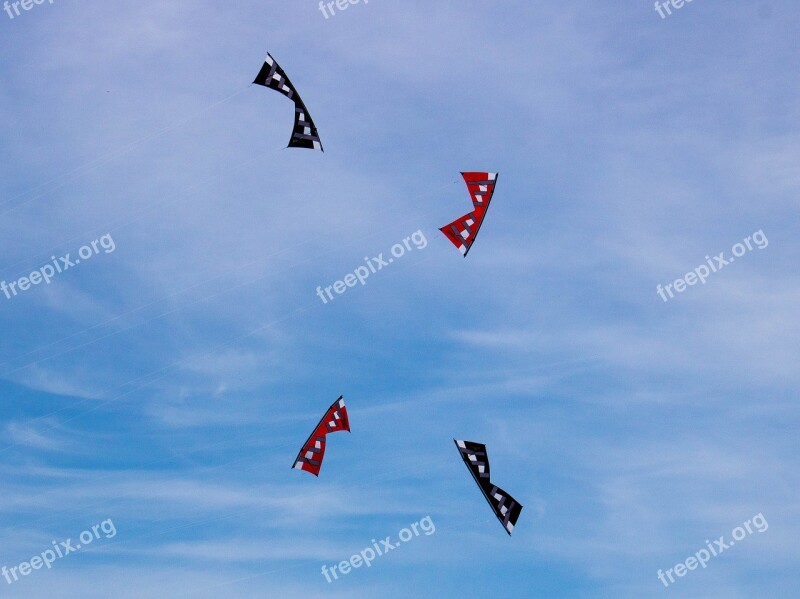 Kites Summer Outdoor Flying Fun