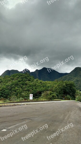 Atlantic Forest Regis Bitencur Brazil Free Photos