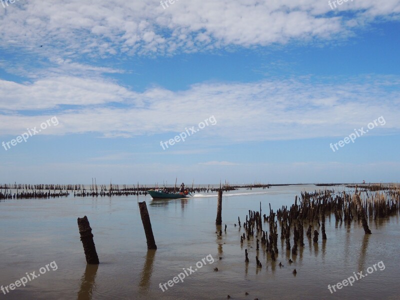 Thailand Samut Sakhon Province Nature Sunny River Mouth