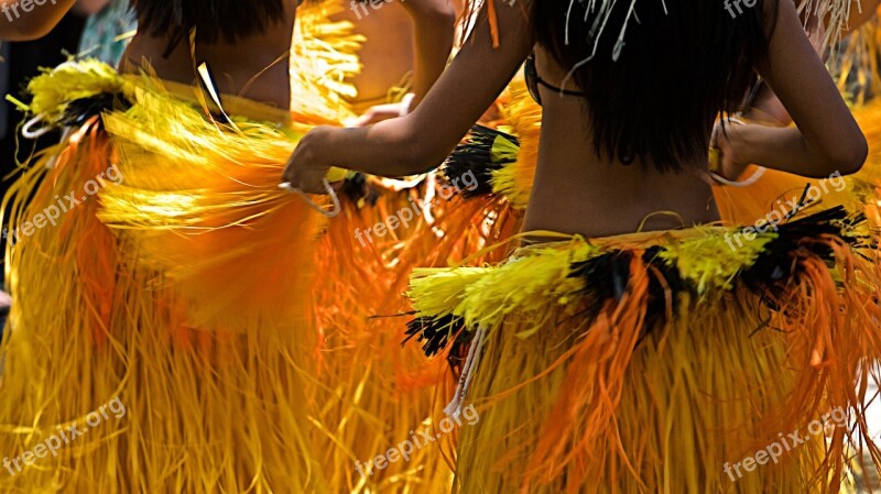 Hula Maui Dancing Colorful Bright