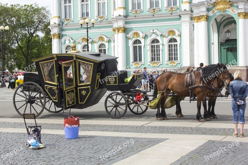 Russia Coach Tourism Saint-petersburg Horse