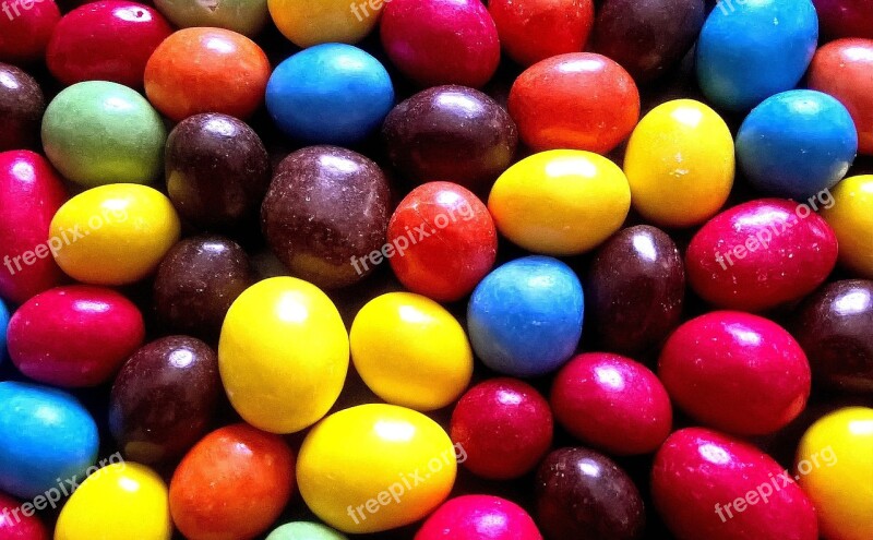 Color Eat Egg Colorful Colored