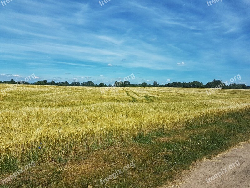 Field Dirt Road Landscape View Way