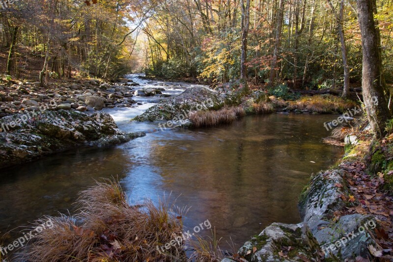 Creek Smoky Mountain National Park Appalachia Tennessee Nature