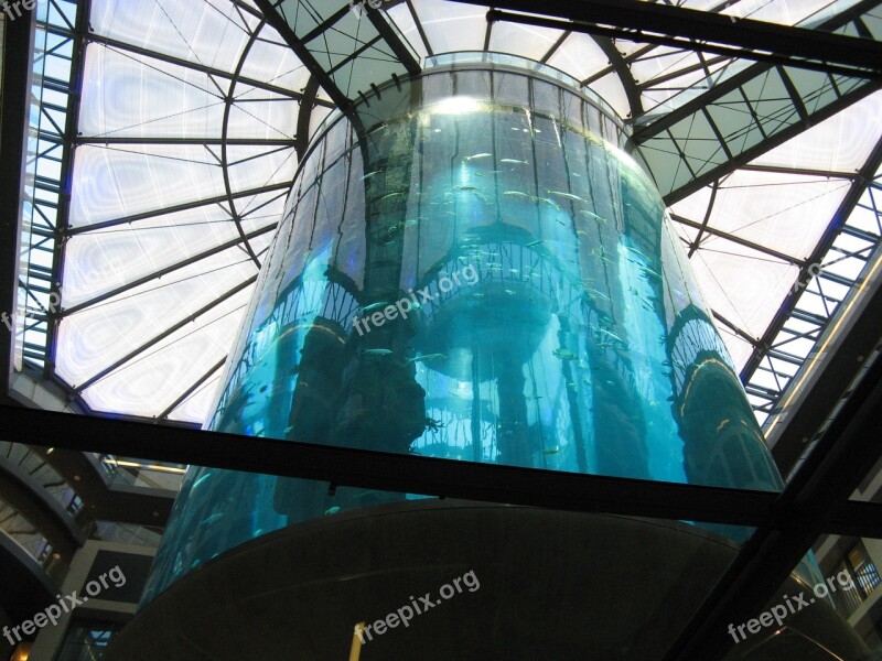 Germany Berlin Tourism Aquarium Aquarium Suspended