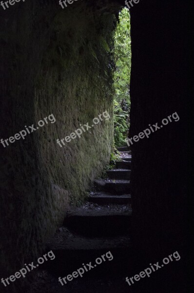 Tunnel Nature New Zealand Natural Light