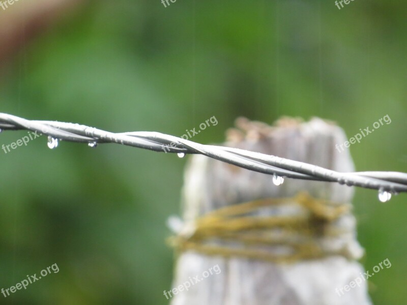 Rain Highlights Nature Finlandia Quindío