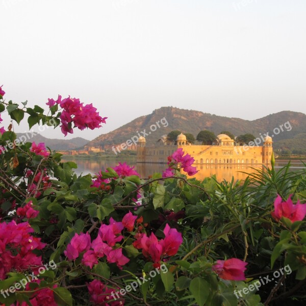 Jaipur Jal Mahal Tourism Water Bougainvillea