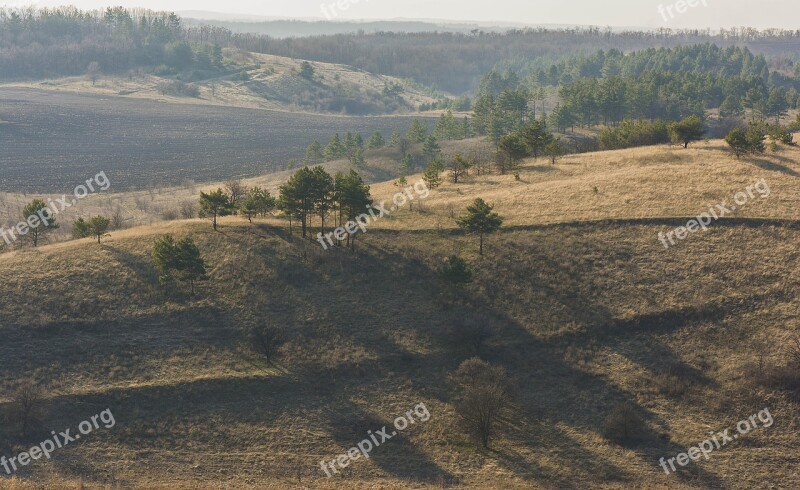 Landscape Nature Open Space Travel Dahl