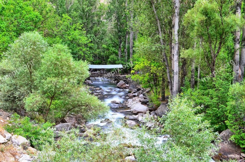 River Landscape Nature Green Open Air