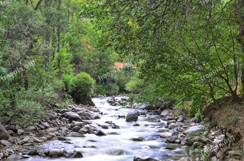 River Landscape Nature Green Open Air