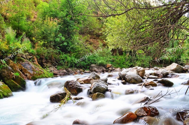 River Landscape Nature Green Open Air