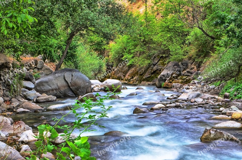 River Landscape Nature Green Open Air