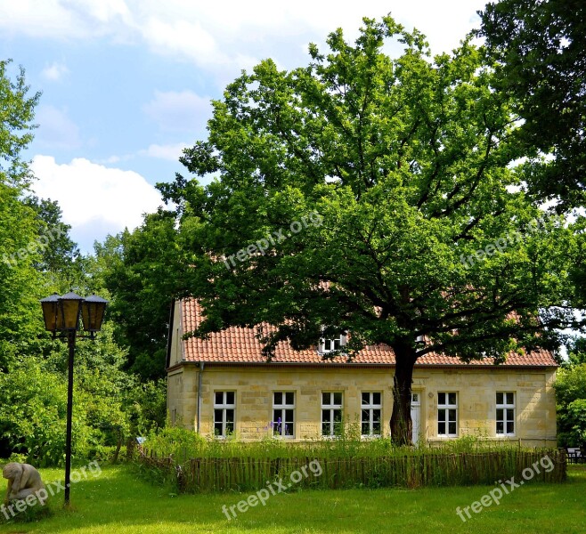 Dream Home Forest House Tree Atmospheric Forest